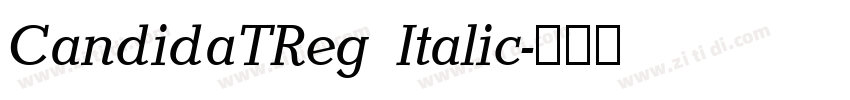 CandidaTReg Italic字体转换